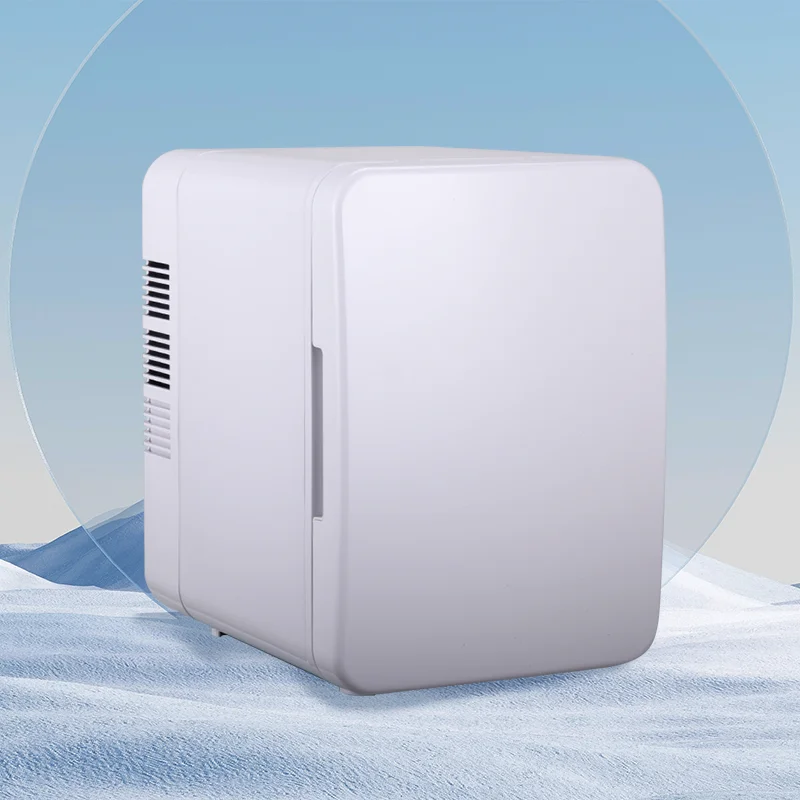 Electric Car & Van Fridge Cooler And Warmer Hotel Use 4L Thermoelectric Refrigerator 12V/220V