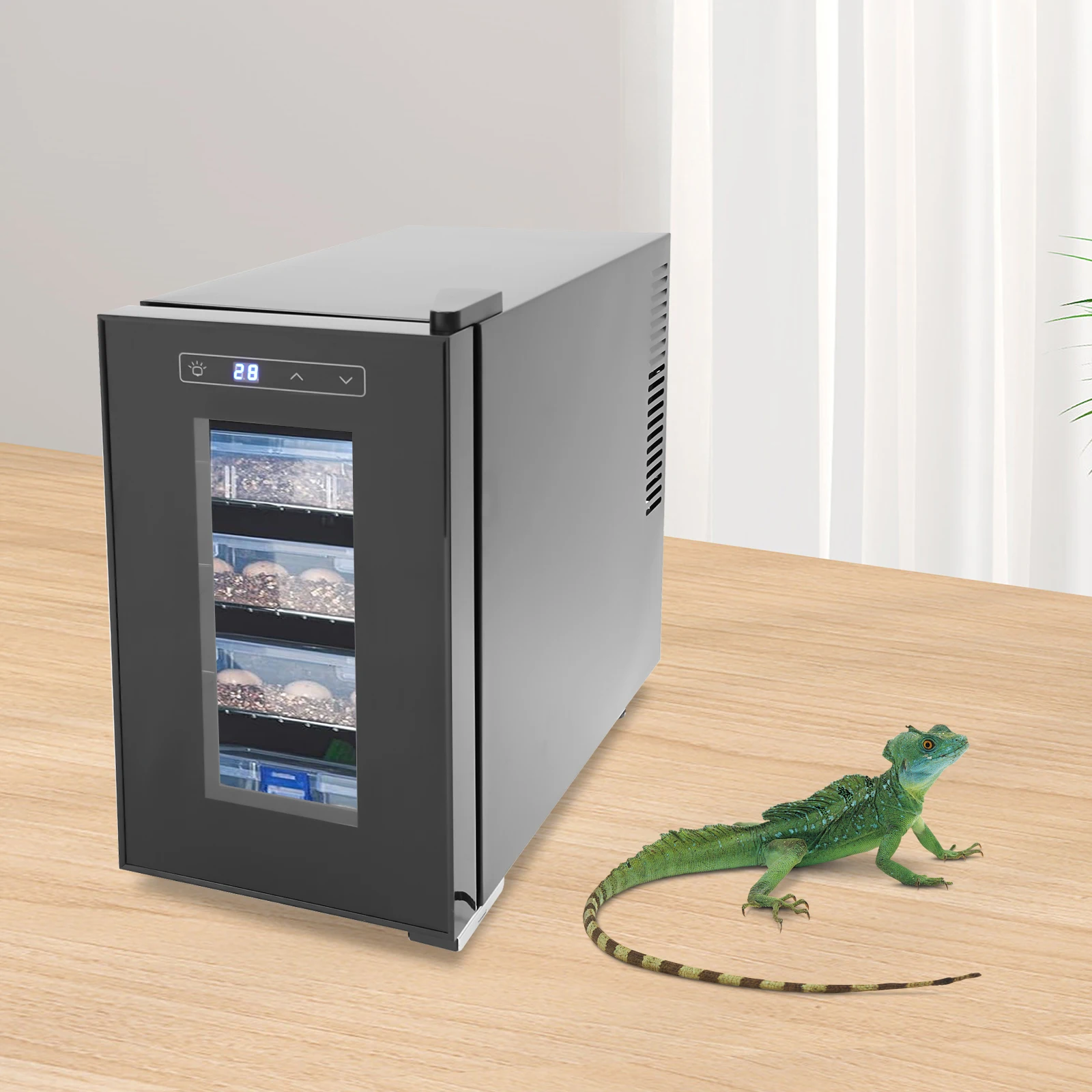 110V Reptile Egg Incubator Black Reptile Egg Incubator Reptile Egg Incubator With Precise Temperature Control