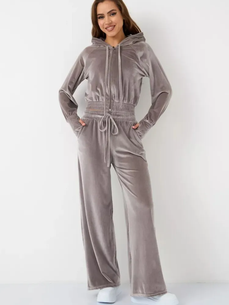 Mode casual damespak herfst winter tweedelige set lange mouw effen kleur fluwelen sweatshirt met capuchon en broek sportoutfits