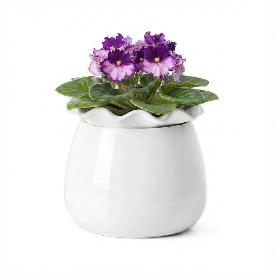 

Self Watering Plant Pot, 6 Inch African Violet Pots Maintenance, Ceramic SelfWatering Planter for Indoor Plants Ideal Flower Pot