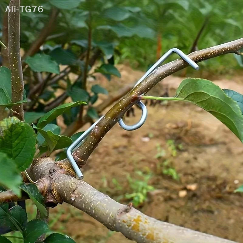 [P] 50pcsFruit Tree Branch Bender Tool Kit, Manual Branch Bending Tools For Shaping & Spreading, Orchard Plant Growing Tools