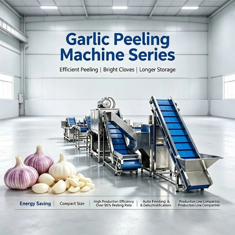 Industrial Dry Garlic Peeling Clove Separator Complete Stainless Equipment for Food Processing Plant Custom