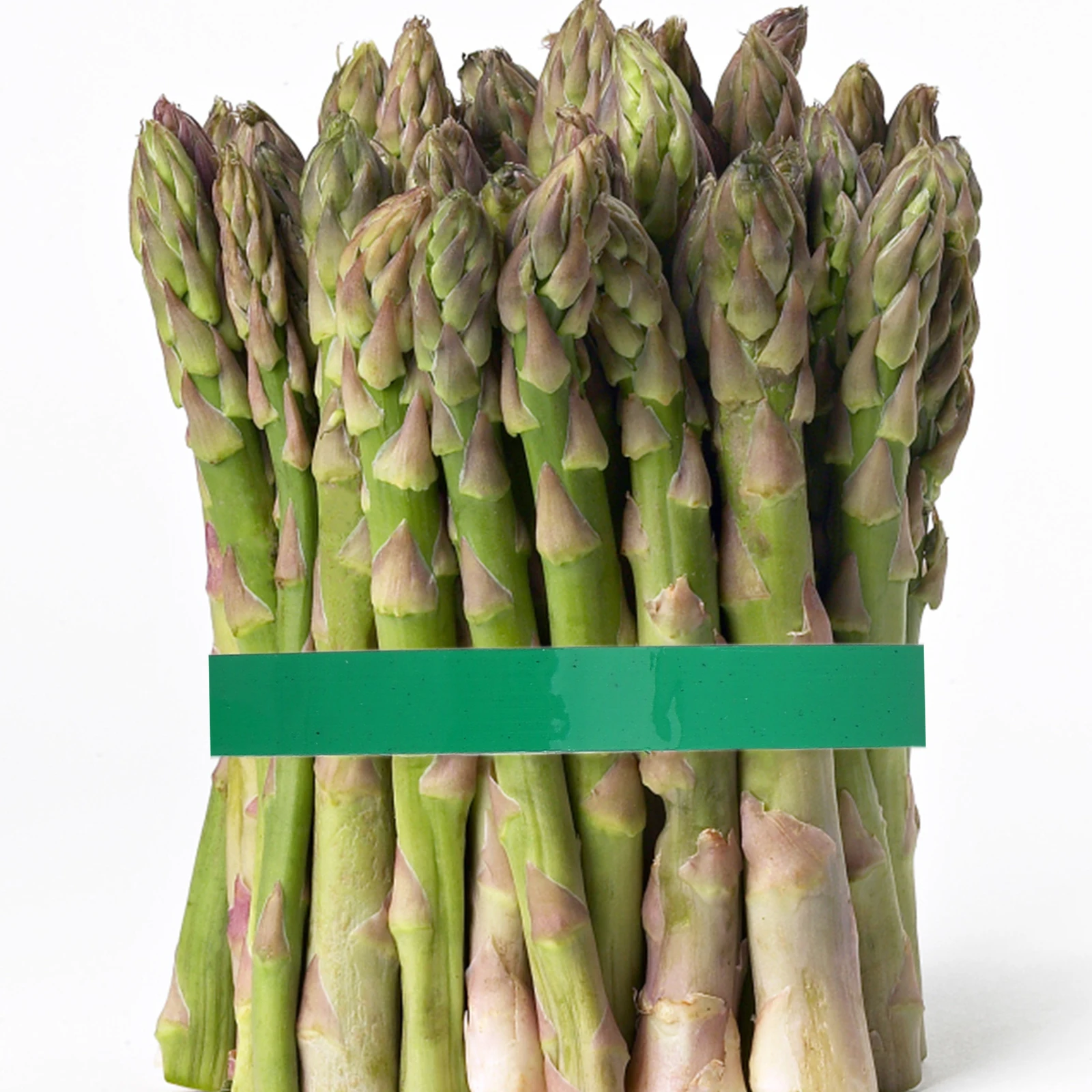 

10pcs Vegetable Tape Food Sealing Colorful Packaging Adhesive Machine Fruits Vegetables Produce Bag Tape Polypropylene