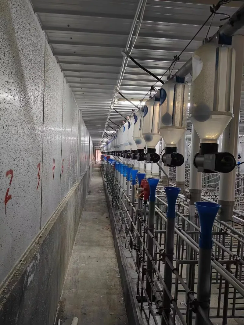 High-quality farm pig farming supplies, sow care equipment, agricultural equipment