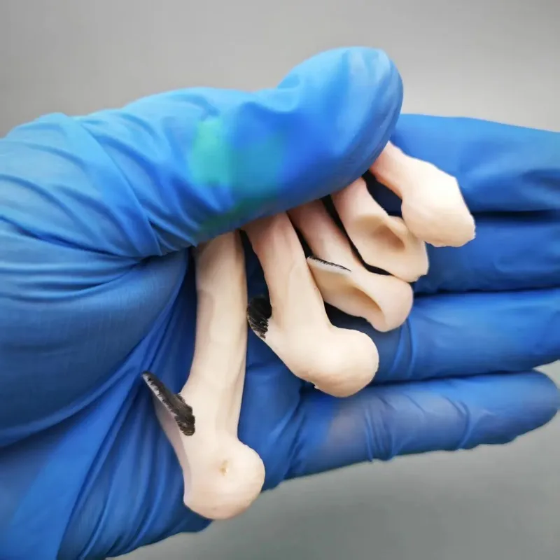 1/6 Skala Mann Genital Orgel Teile Penis Modell Silikon Gel Weizen Haut für 12 Zoll TBL Spielzeug Figur Körper Zubehör geschenk