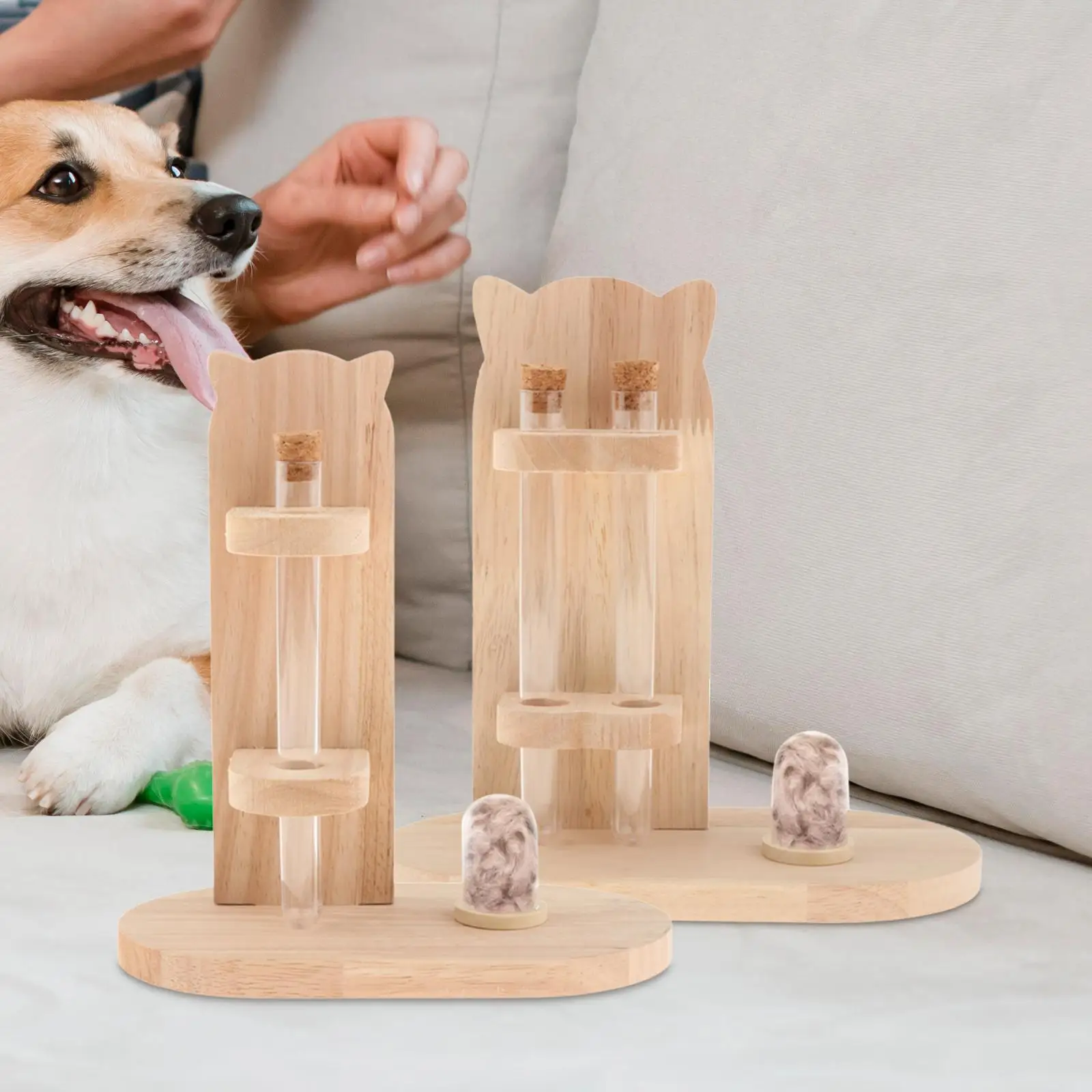 القط ويسكي جامع الحيوانات الأليفة الشعر صندوق تذكاري زخرفة القط ويسكي جرة الحيوانات الأليفة صندوق تذكار ل هريرة الحيوانات الأليفة الكلاب جرو