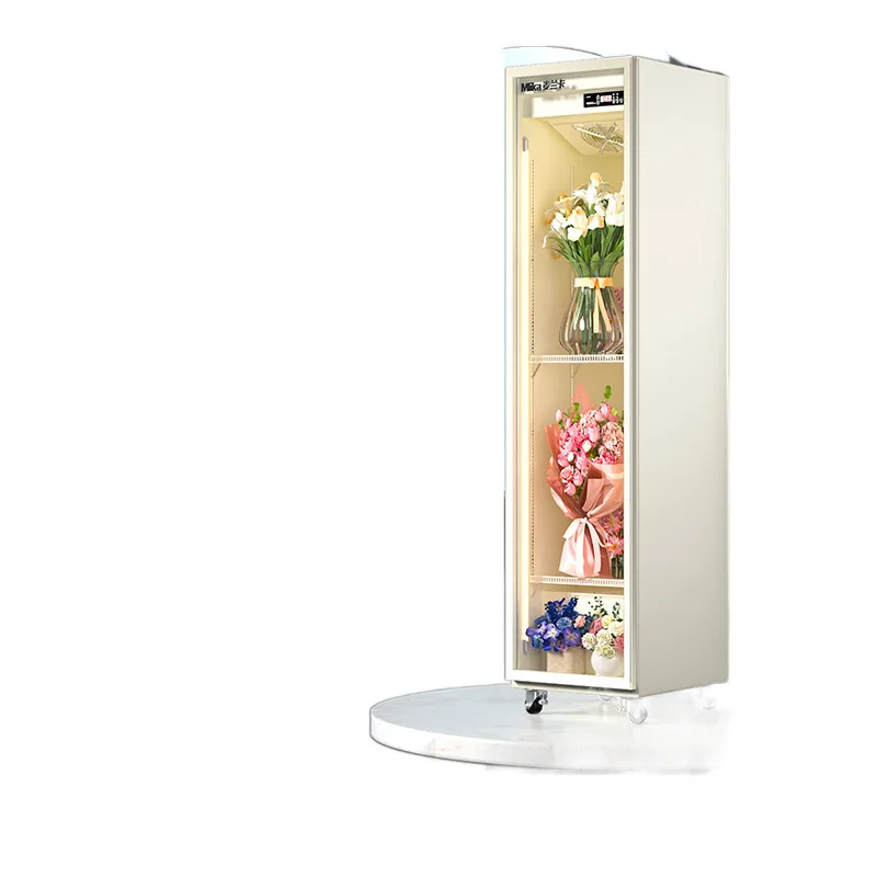 

Commercial air-cooled frost-free display cabinet