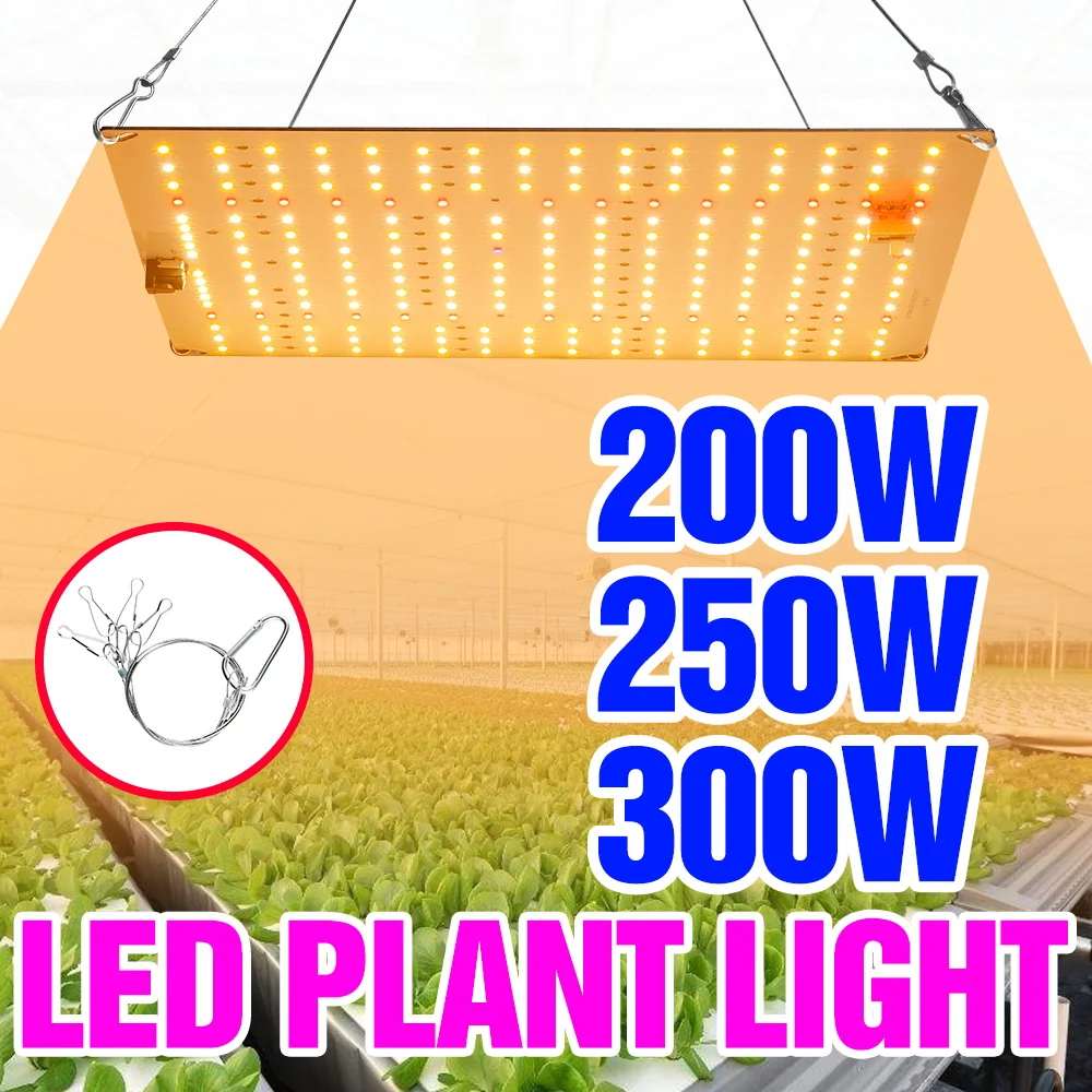 

300W LED Full Spectrum Grow Light Quantum Board Seedings Planting Fill Lamp Greenhouse Tent Vegs Fruits Cultivation Lighting