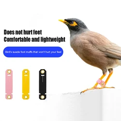 Pet Parrot Leg Ring Ankle Foot Chain Bird Ring Parrot Foot Clasp Foot Sleeve Bird Foot Live Buckle Rings Bird Accessories