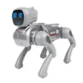 Silver Gray APP
