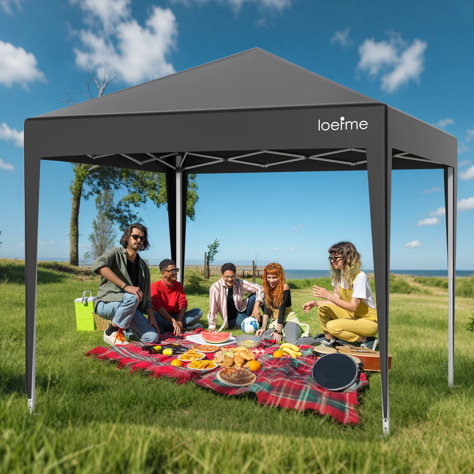 LOEFME 2.5x2.5m Portable Pop Up Gazebo Tent 210D Oxford Fabric Outdoor Removable Shelter Easy Install Camping Waterproof Awning