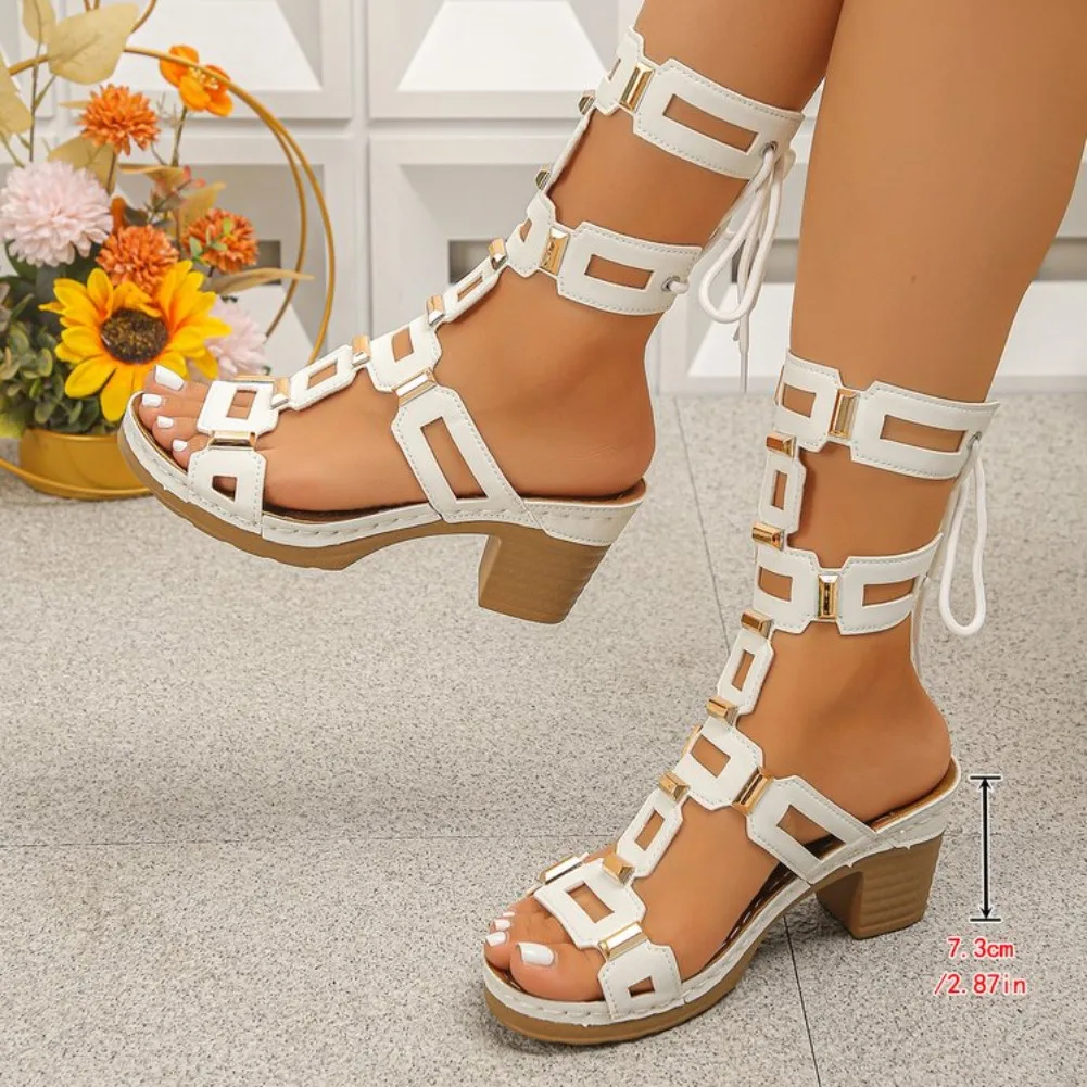Women High Heels Sandals 2026 Summer Lace-up Retro Large Size Roman Style Open Toe Casual Comfortable Beach Sandals view 6