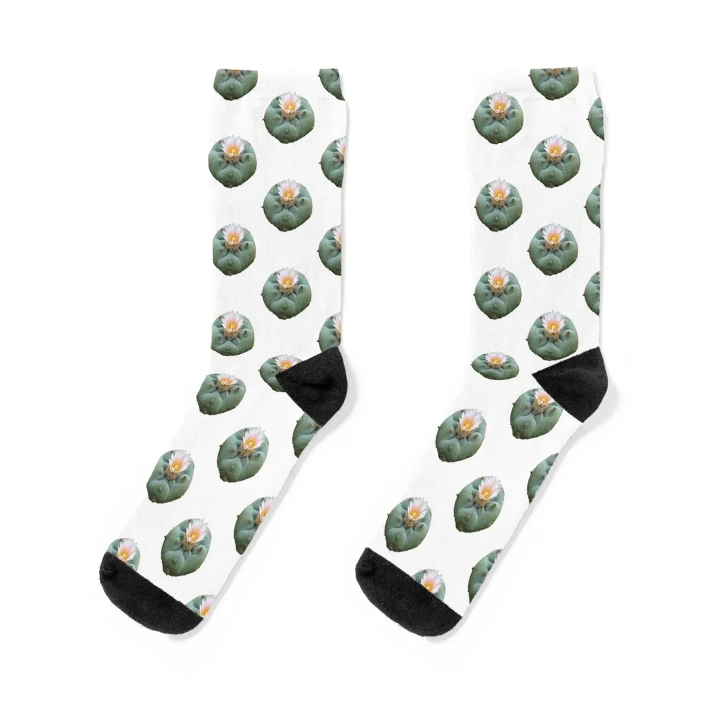 

Lophophora Peyote Williamsii Socks sports and leisure basketball happy cotton Ladies Socks Men's