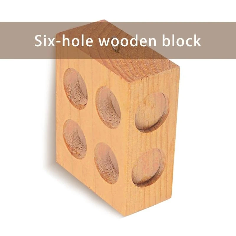 2 orifícios 6 orifícios Bloco fricção Bloco Equipamento experimento para adolescentes