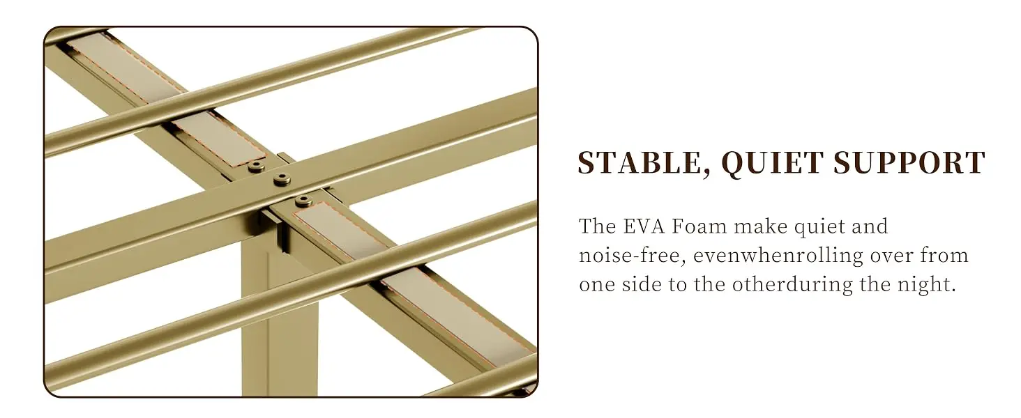 Noise Free