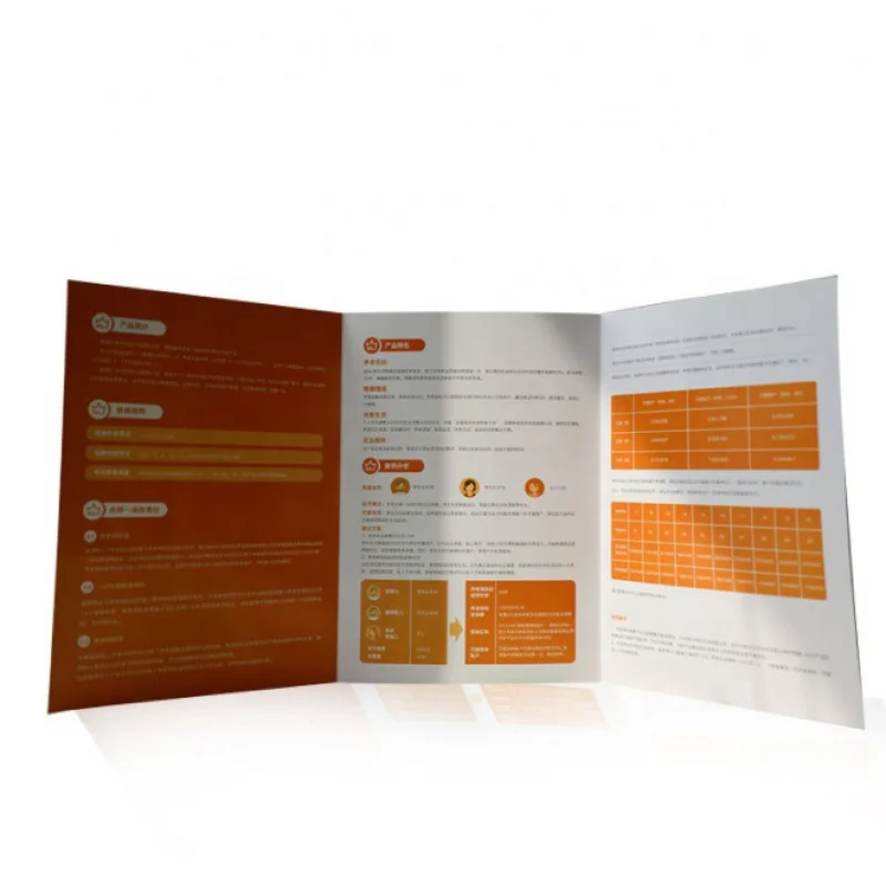 Custom. Custom Low Moq Digitale Drukbrochure/Pamflet/Handleiding/Folder/Flyer/Poster China Printer