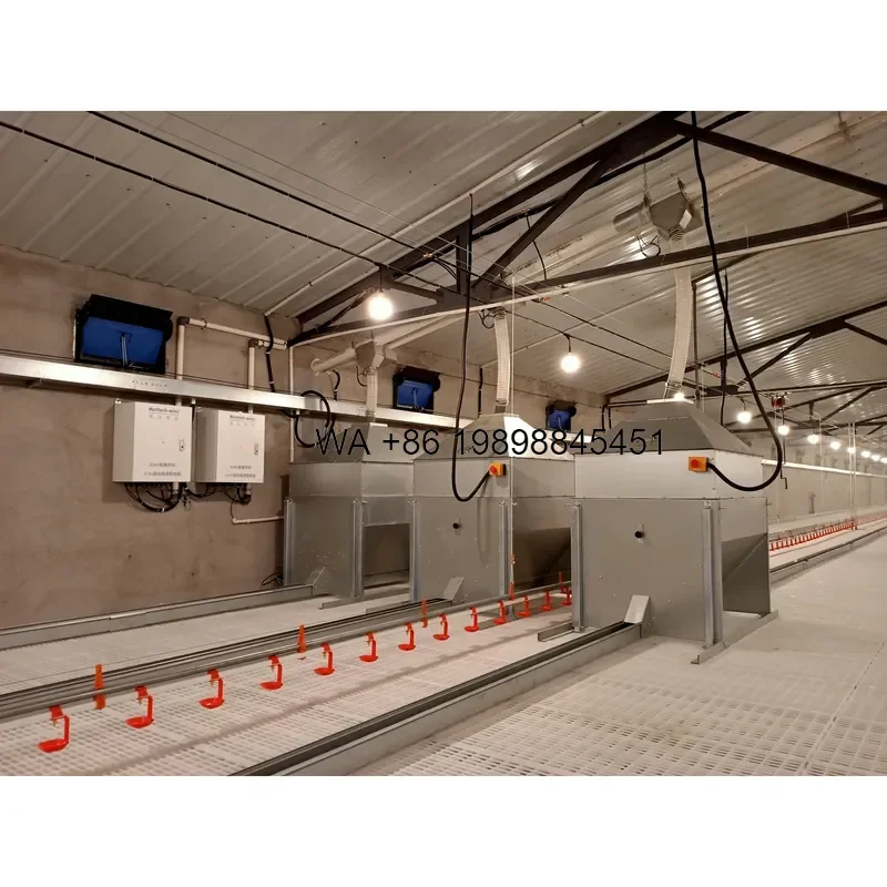 Wmwmnu for Raisetech Poultry Farm Breeder House Equipment Complete Floor Raising Line Automatic Feeder Nest System High