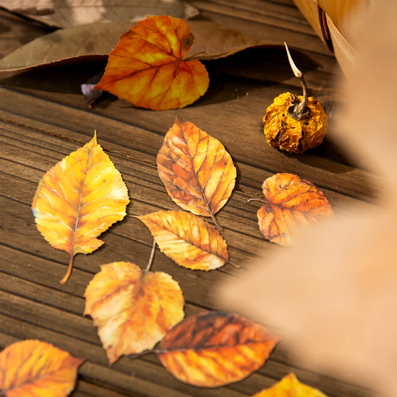 ジャーナル GO 20 個 ゴールデンオータム 落ち葉 風景 - Art And Craft Autumn のレビューと価格