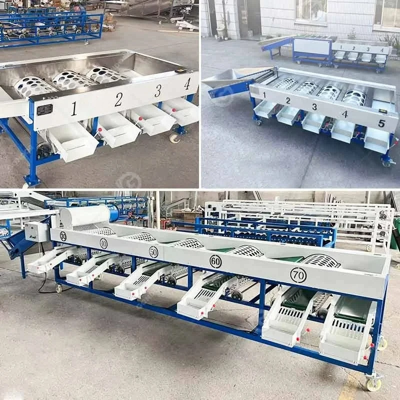 Mango Date Cherry Vegetable Fruit Olive Garlic Size Grading Sorting Machine for Fruit and Table