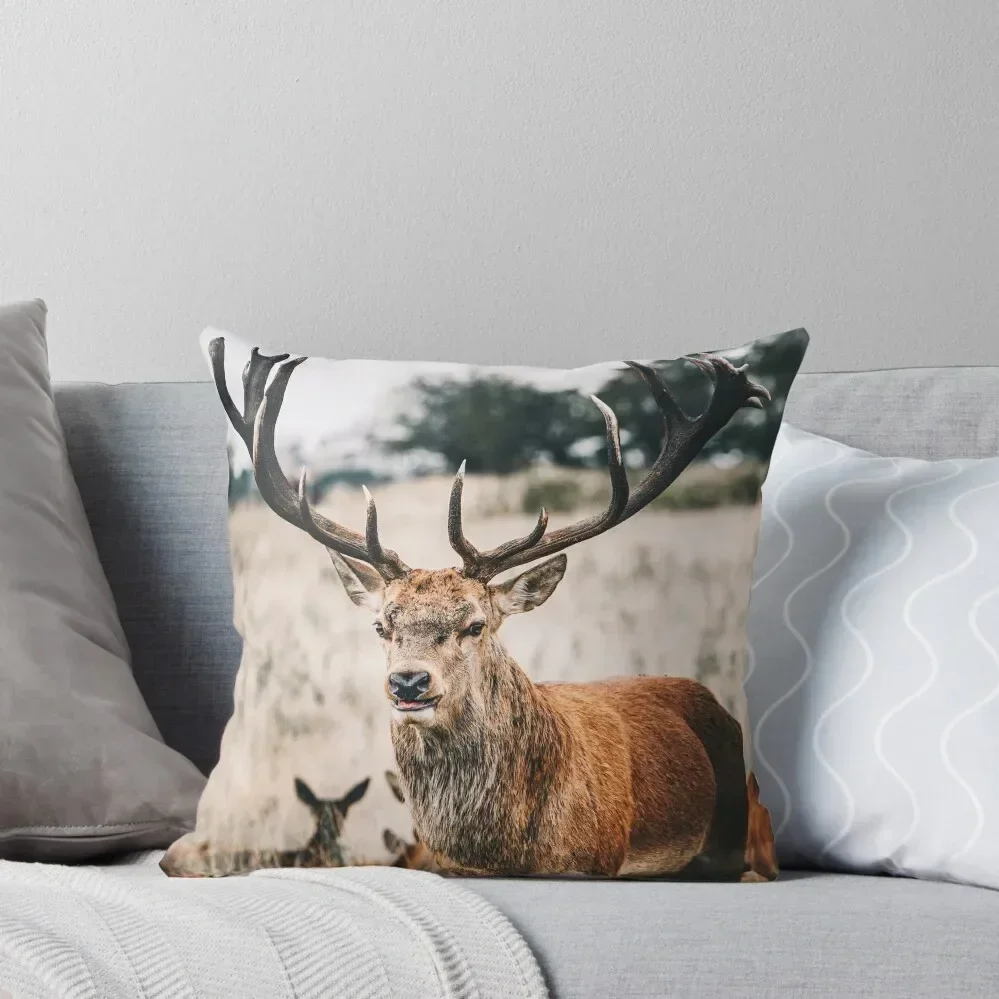 

The proud deer Throw Pillow Sofa Cushions Cover pillows decor home pillow