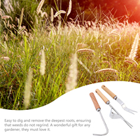 3pcs Stainless Steel Weed Removal Tool Durable Hand Weeder Sturdy Gardening Rake Set Long Handle Manual Remover Wood Tools