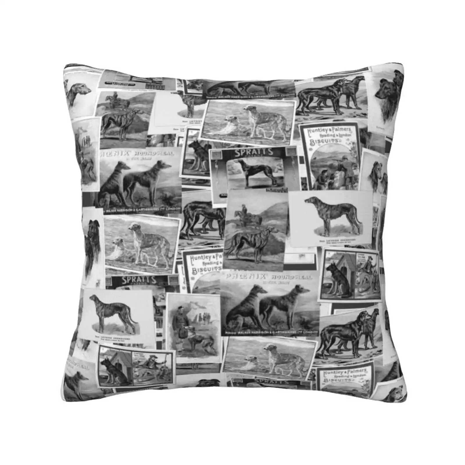 

Scottish Deerhound From The 1930S Funny Cute Decor Square Pillowcase Scottish Deerhound Greyhound