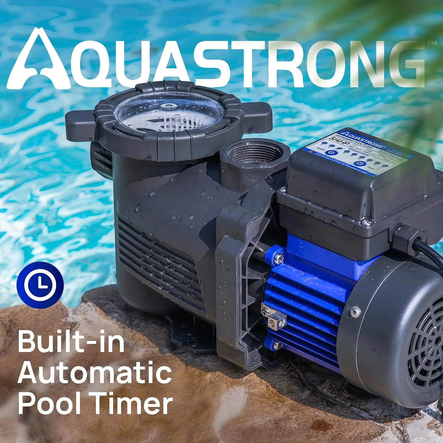 3/4 HP Above Ground Pool Pump with Timer, 1.25