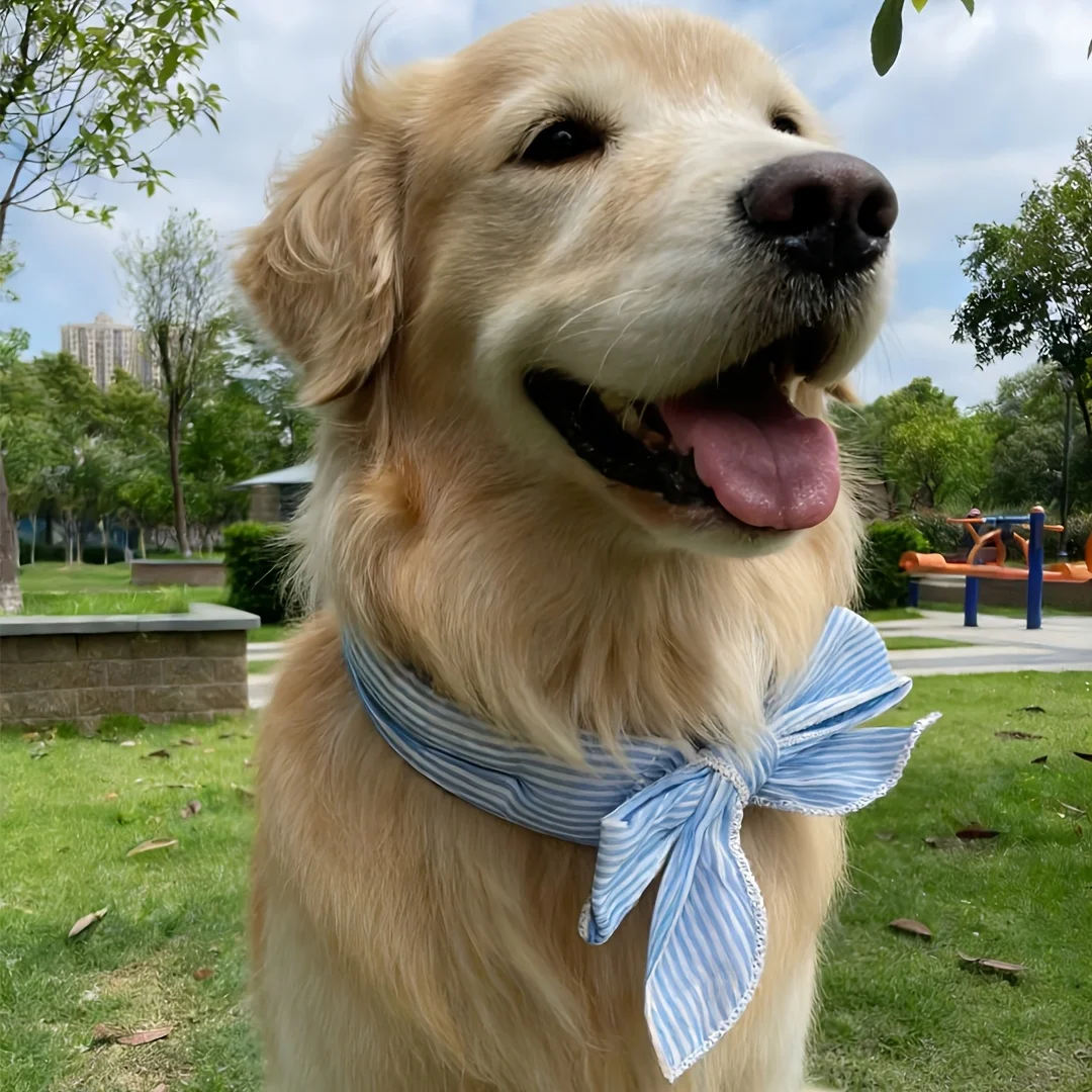 1pc Universal Summer Pet Cooling Ice Scarf,Dog & Cat Neck Collar,Physical Heatstroke Prevention Cool Towel,Outdoor Ice Neck Ring