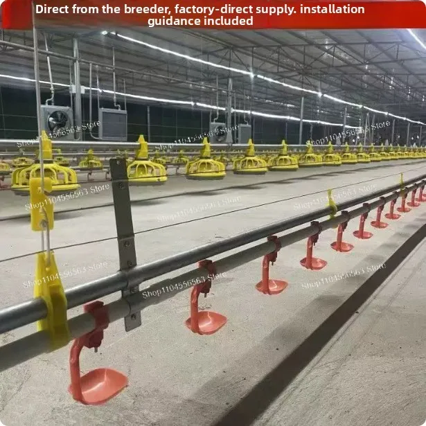 Complete Automatic Poultry Feeding & Drinking System for Chicken Farm, Feed Hopper & Water Line with Conveyor,Farm Equipment Set