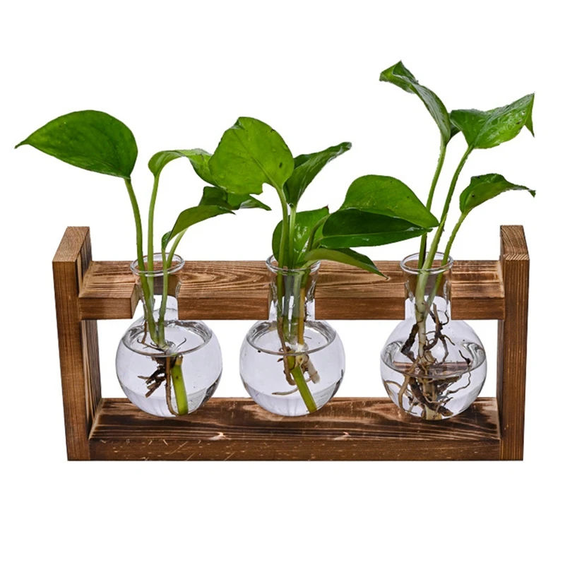 

Стеклянный террариум для растений на 3 растения, станция для размножения с деревянной подставкой, комнатный садовый горшок, гидропонная ваза и настольный декор, розница