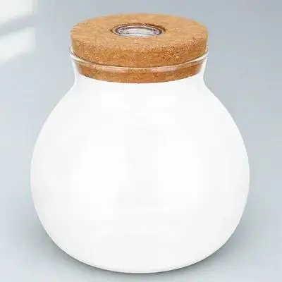 DIY Micro Landscape Bottle Cylindrical Glass LED Light Decor Home Room Excellent Workmanship Transparent Design