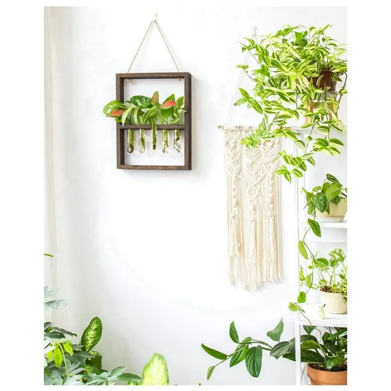 PZHI Wall Mounted Hanging Plants Test Tube Vase, Glass Terrarium Wooden Frame for Home Garden Wedding Decoration