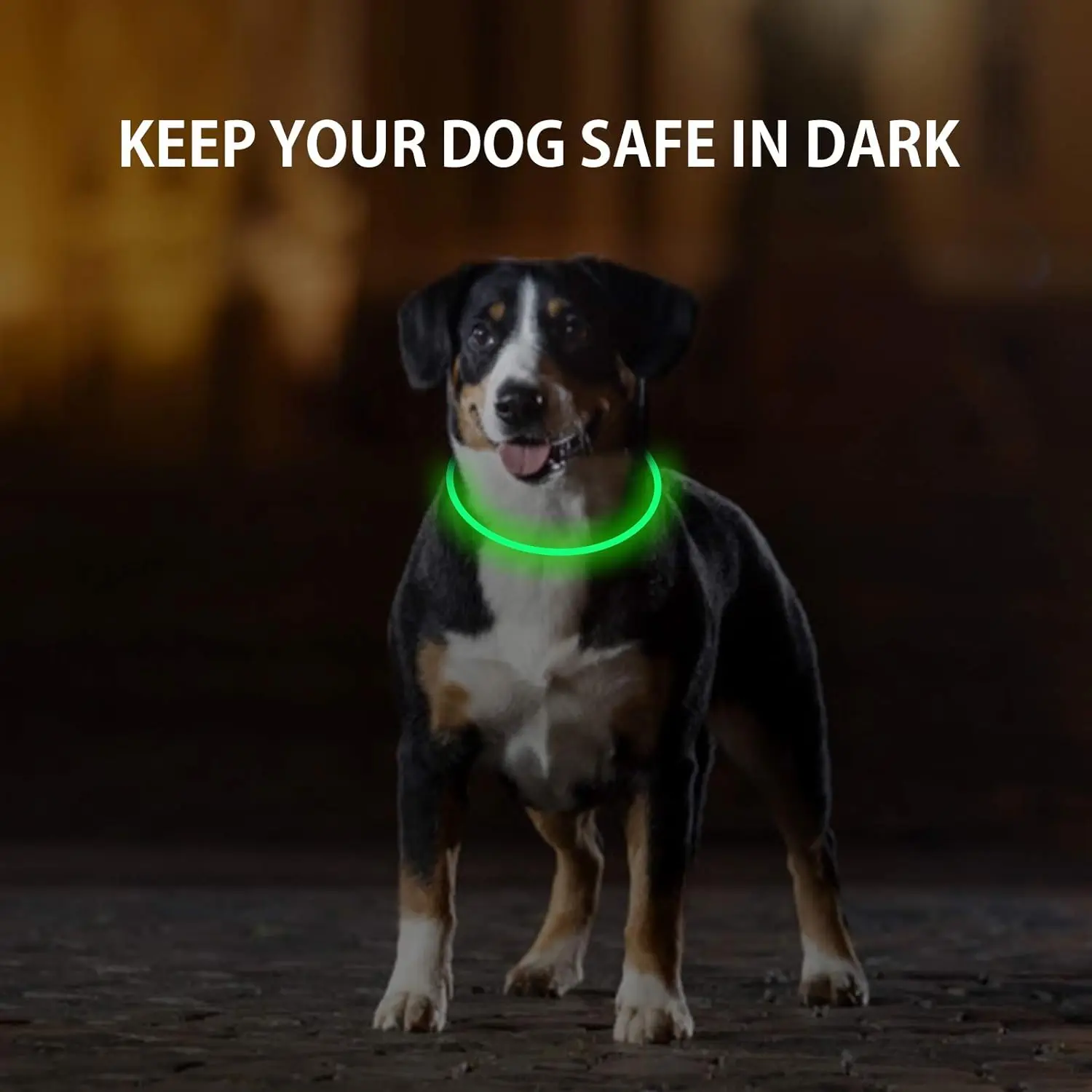 Dog Light Up Collar LED Collar Light Up Cat Collar USB Rechargeable Collar Christmas Decoration Pet Collar Pet Christmas Gifts