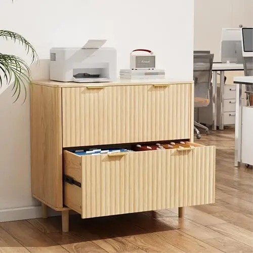 2 Drawer File Cabinet, Home Office Filing Organizer, for Letter Legal A4 Size File Folder Storage, Modern Style Fluted