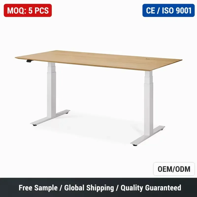 Modern Electric Standing Desk Black Metal Frame Height Adjustable Workstation with USB Charging Port Waterproof Surface for