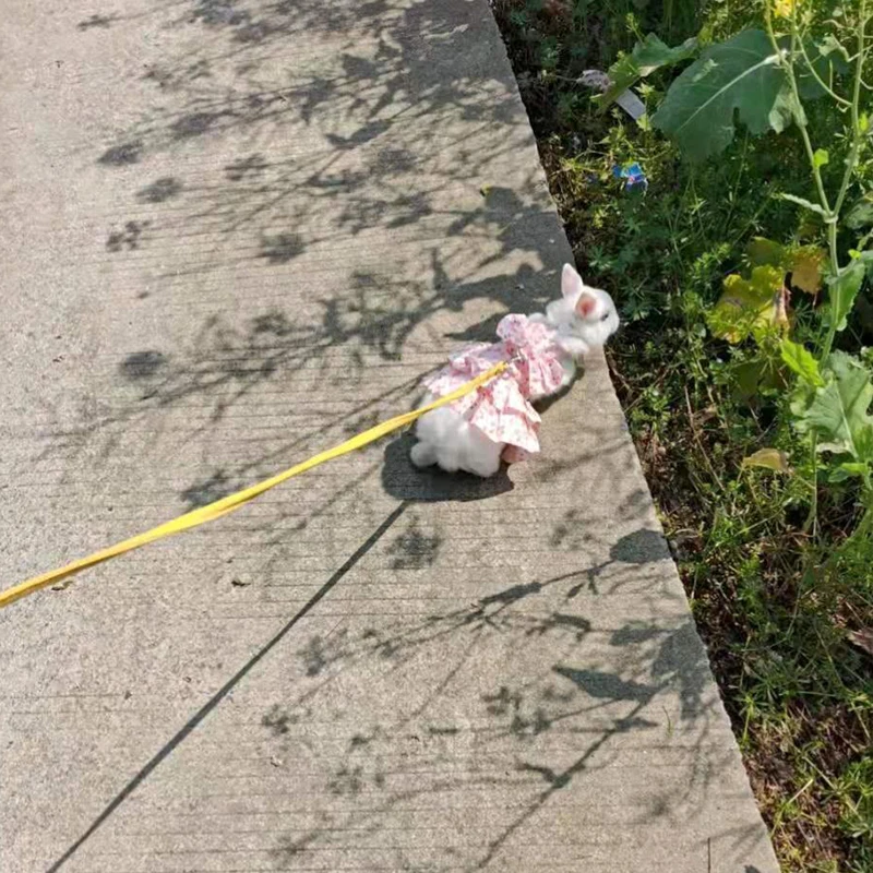 Rabbit Harness Dress with Leash 5