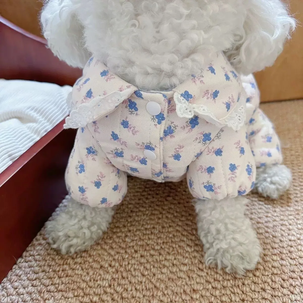 Autumn and Winter Pet Floral Jumpsuit Cute Pumpkin Pants Little Dog Teddy Bear Winter Outfit with Floral Four Legs Puppy Clothes