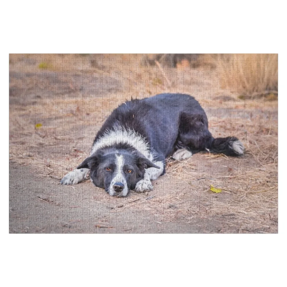 Cute Border Collie Lying on Ground Jigsaw Puzzle Iq Personalized Gift Photo Custom Puzzle