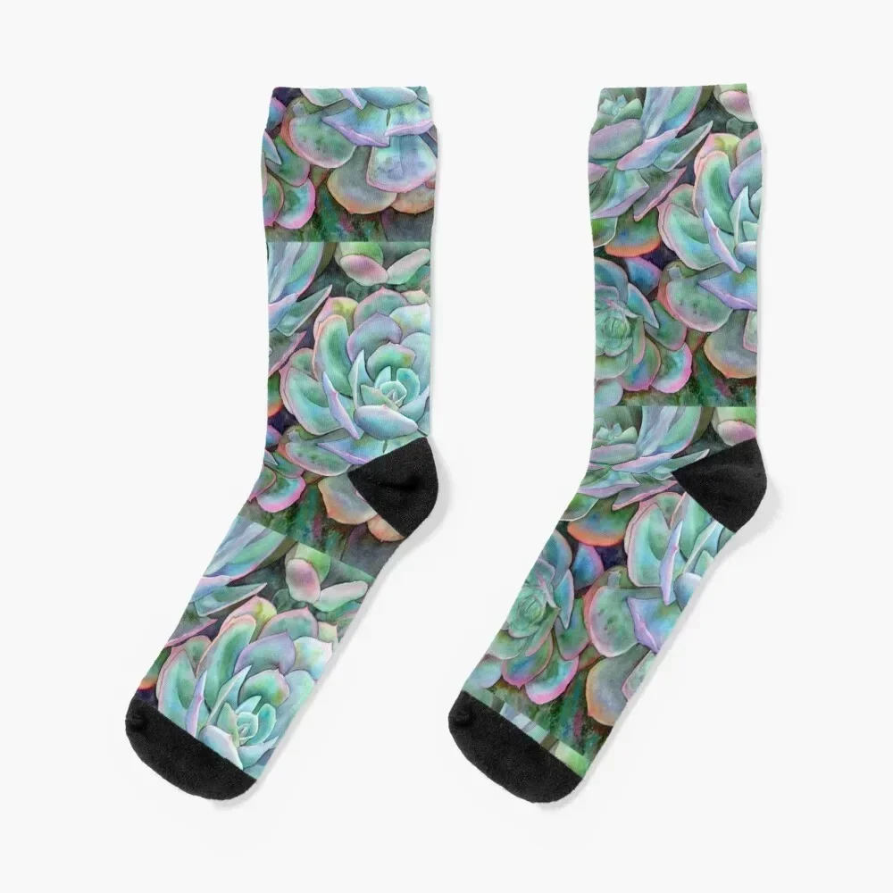 Succulents II Socks Run Stockings compression floral Socks Man Women's