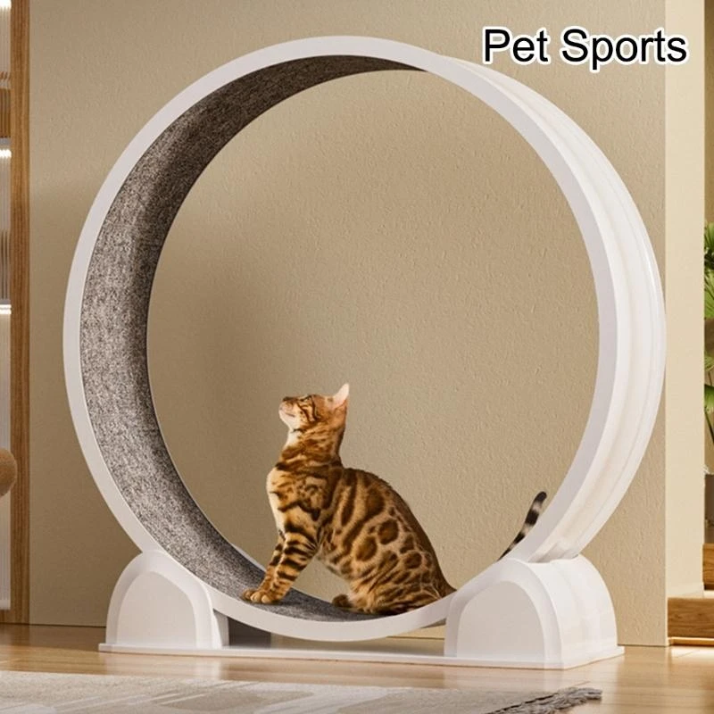 Large Cats Treadmill with 110cm Diameter Quiet Operations Pet Running Wheel for Heavy Cats Up to 12kg Exercise top sale