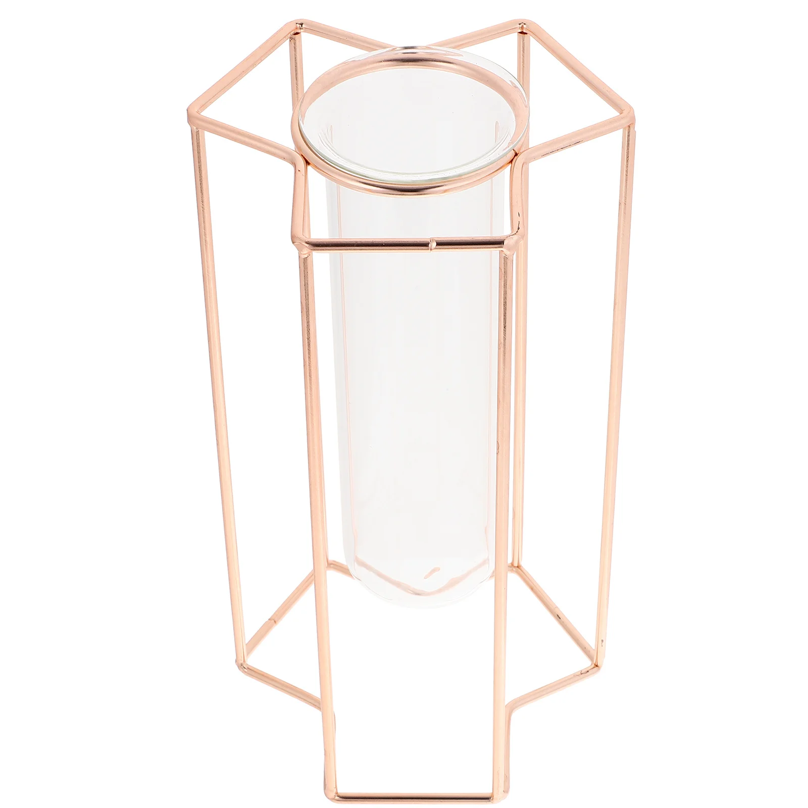 

Household Decorative Flower Vase Iron Stand Transparent Glass Bud Vase Dried Flower Tube Nordic Style Room Plant Decor