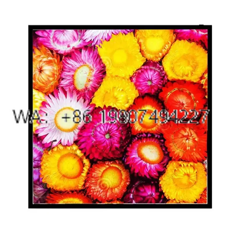 19.2 26 29.6 33.2 39.4 44.5 52.3 Inch Square Digital LCD Advertising Wall Mounted Industrial PC Display Screen