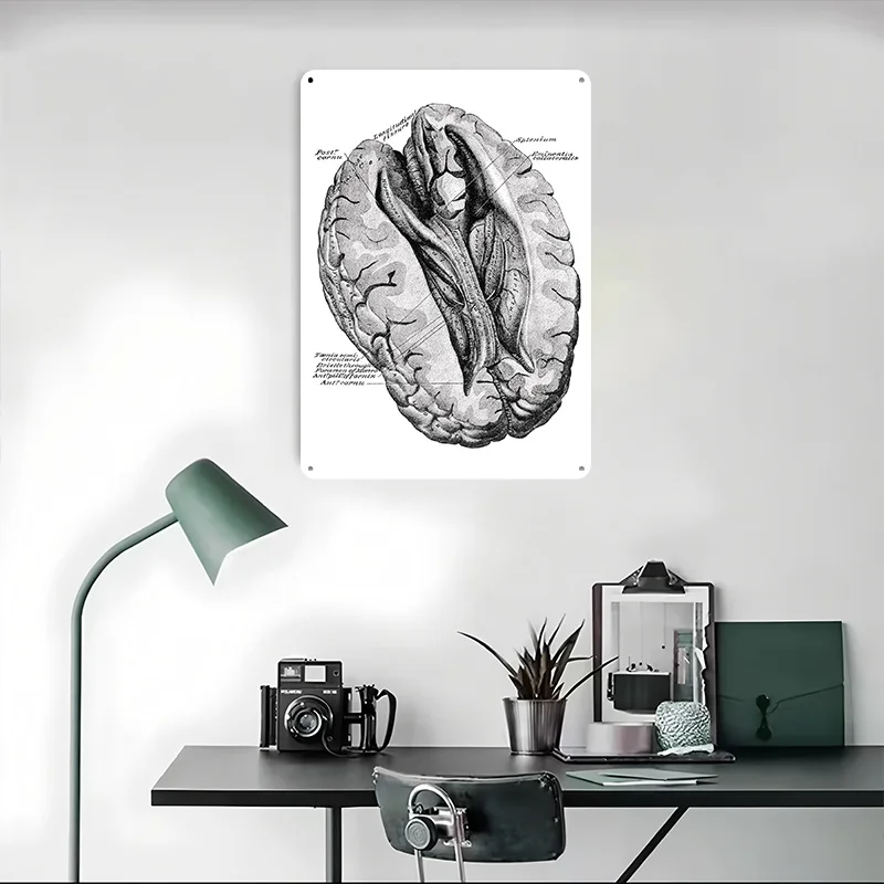 تشريح الدماغ البشري التوضيح المعادن المشارك تين علامات جدار الفن خمر الديكور غرفة علامة معدنية مخصصة للديكور المنزل