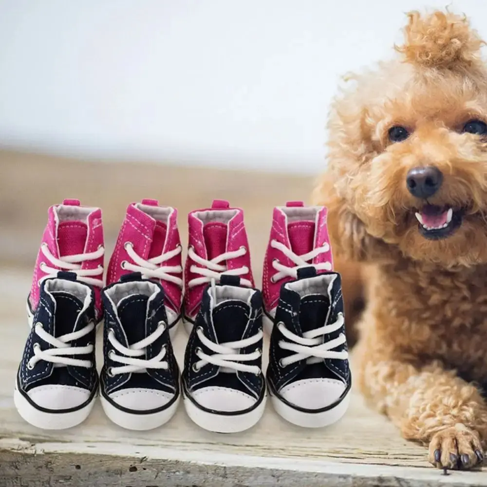 Thumbnail 2 - #29 Latest Puppy Boots Updates