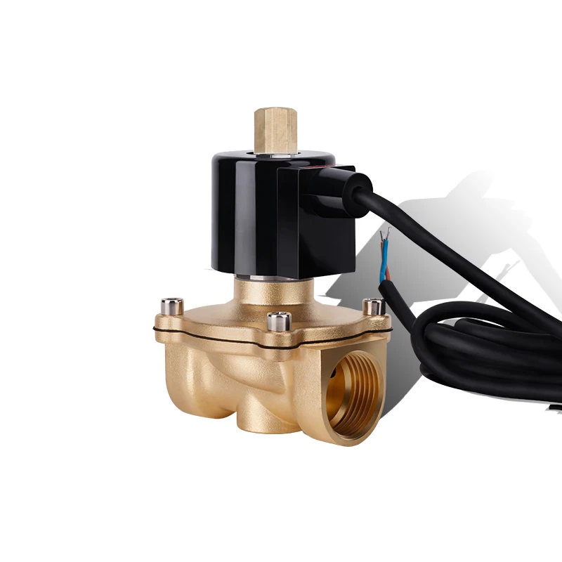 

1" Normally Open Underwater Fountain Solenoid Valve Brass IP68 Waterproof DN25 Electric Control Water Valve AC/DC 12V 24V 220V