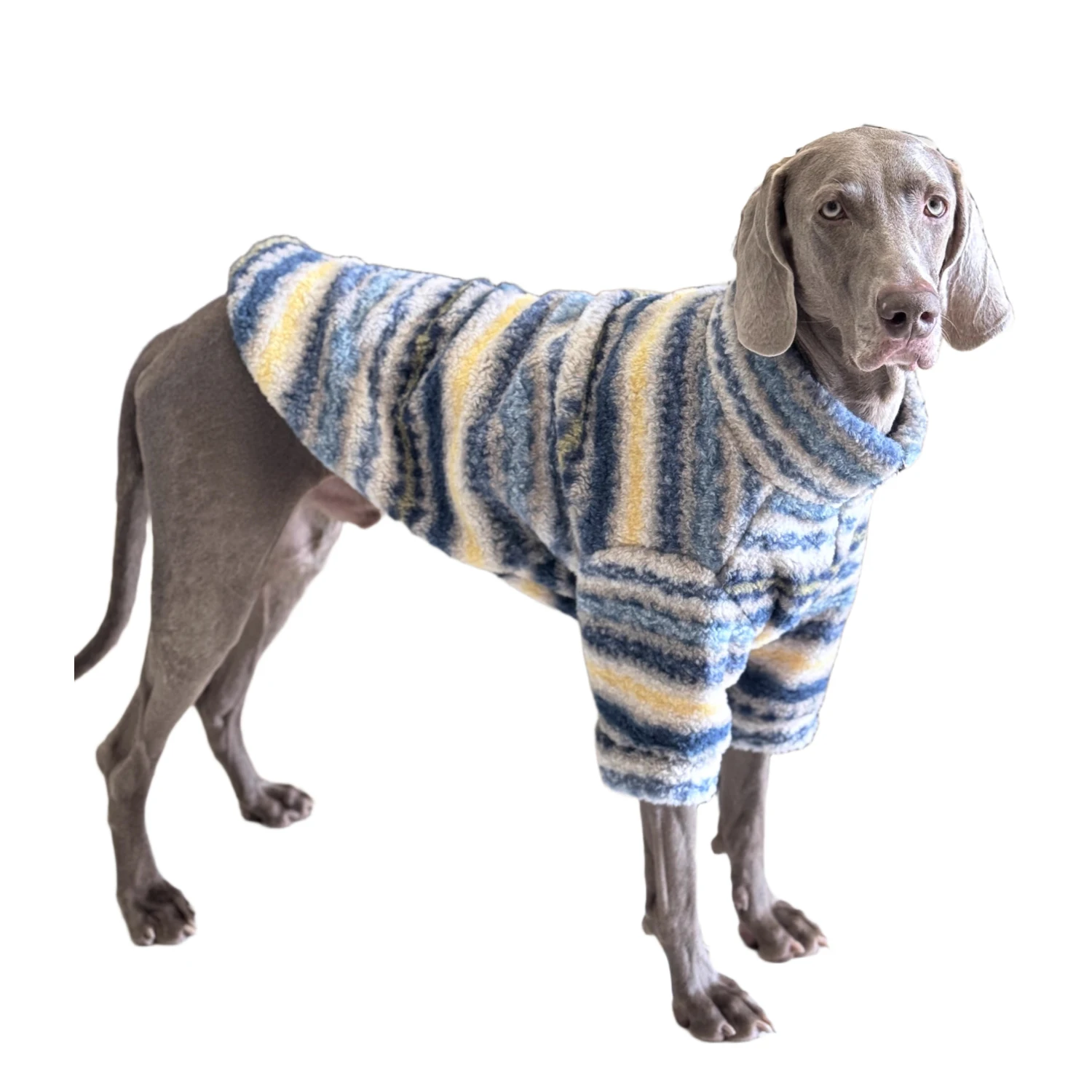Thumbnail 2 - #8 Compare Dog Jumpers Before You Buy