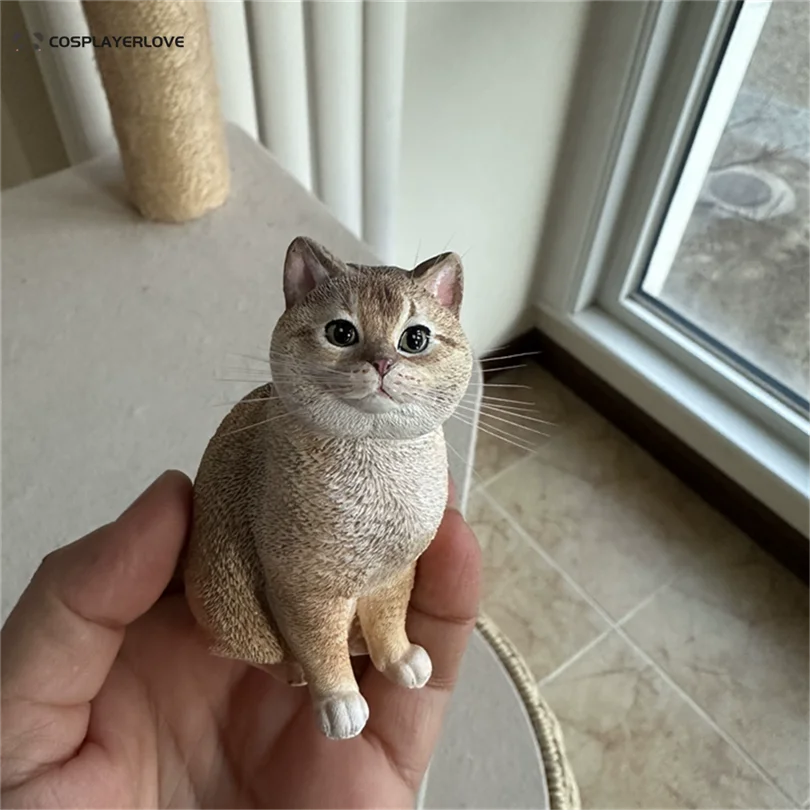 Personalización de fotos DIY, accesorios de utilería hechos a mano para gatos y mascotas, estatua de yeso, conmemoración personalizada