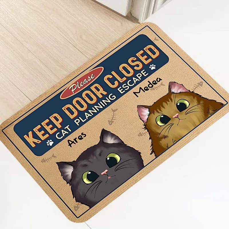 Humorous Cat Entrance Door Mat Best Seat Requires Moving Cat Design Indoor Home Decor Foot Mat Dirt Resistant Floor Mat Cat Fans