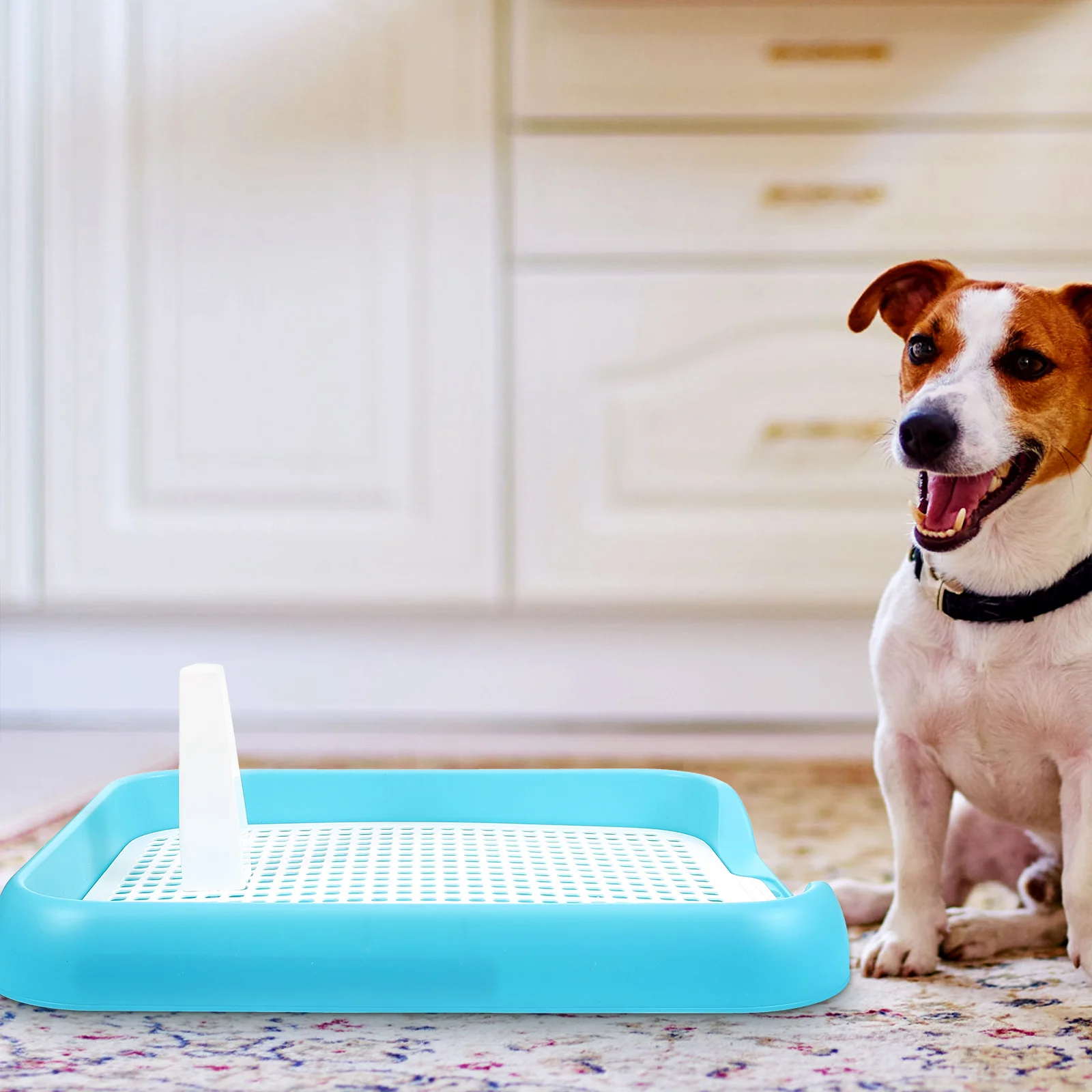 Grandi cani di piccola taglia toilette per animali domestici vassoio per pipì Pad di protezione del pavimento cucciolo di plastica per uso domestico