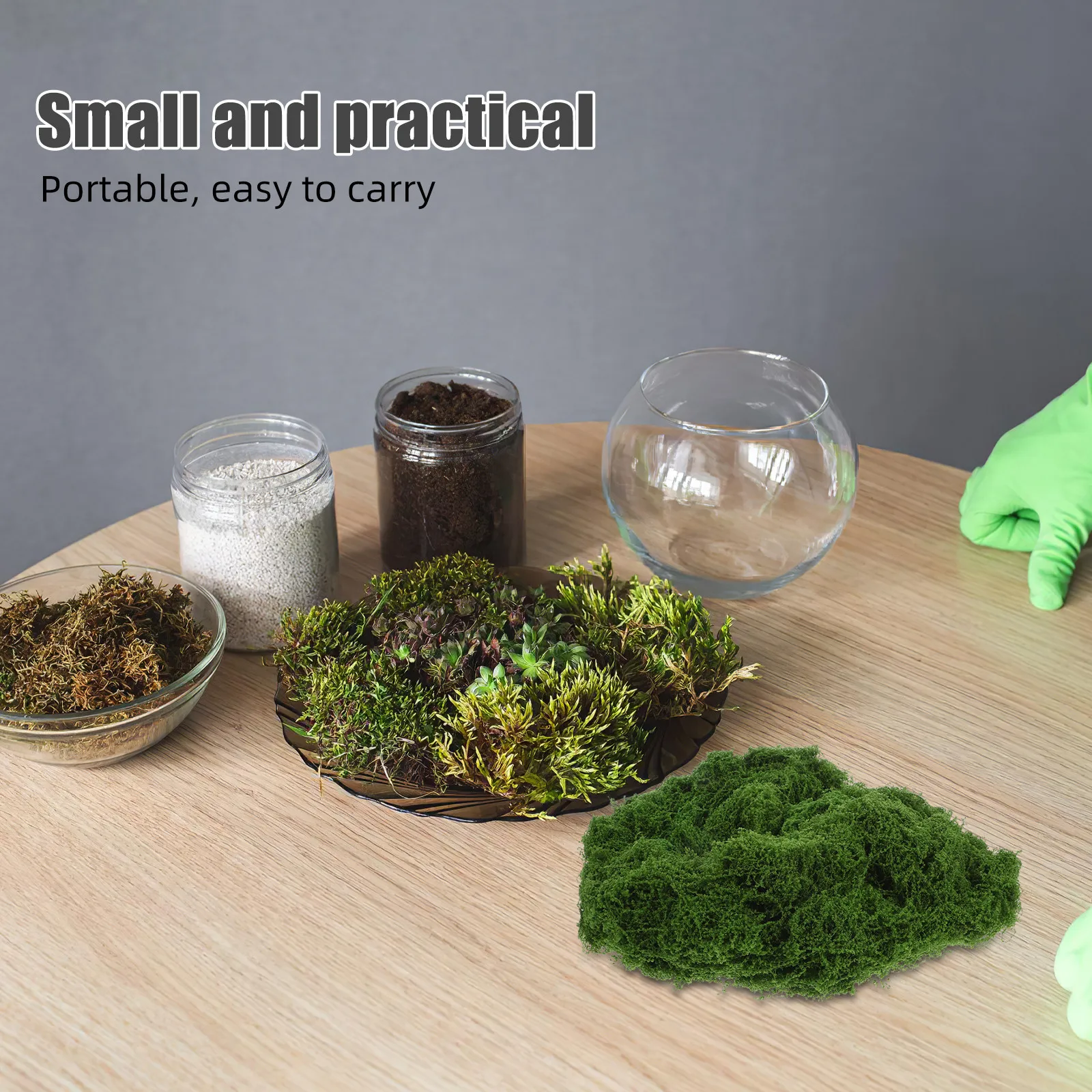 Planted Aquarium Models - หญ้าเทียมตกแต่งสำหรับปลูกต้นไม้ในกระถาง ตู้แก้วเทอร์ราเรียม งานฝีมือ DIY โมเดลฉากตู้ปลา และตกแต่งบ้าน